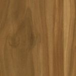 Болеро, ZW110PB Слива европейская (B02), 33 класс