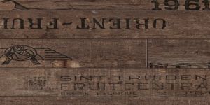 Ламинат Parador Trendtime 2 Вино&фрукты