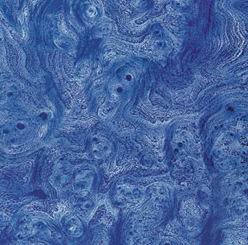 Корень СИНИЙ