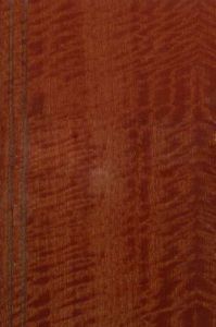 красное дерево 1E-502