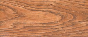 D2432 Дуб оклахома ER