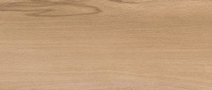 D2201 Бук красный