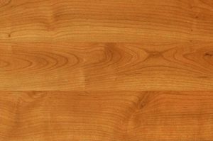 Вишня манчестер