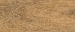 D2928 Дуб фермерский PR