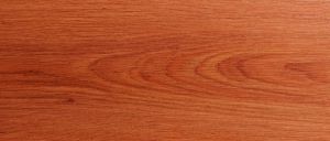 86 Дуб Тусанский