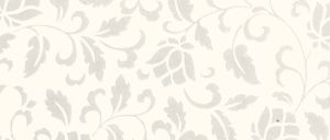 D2925 Paloma Blanca BS