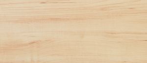 D 7467 Клен готланд WG