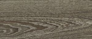 D2462 Дуб барик ER V4