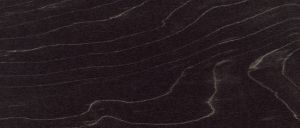 D2779 Клен камбрия V4