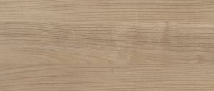 D2236 Кофейное дерево