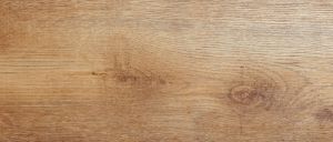 467 Дуб Немецкий