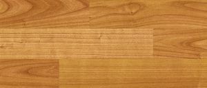 D 1363 Вишня бодензее PR WG